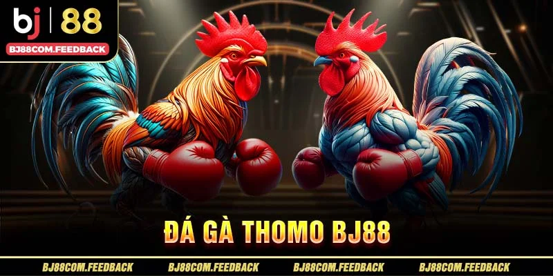 đá gà thomo bj88